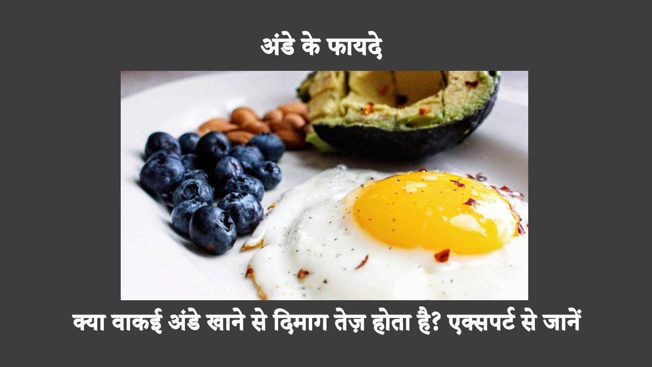 Can Eating Eggs Make Your Mind Sharp In Hindi: हाल ही में हुए एक अध्ययन के अनुसार, अंडे खाने से संज्ञानात्मक कार्य में सुधार हो सकता है। अंडे संज्ञानात्मक हानि को रोकने में मदद करते हैं।