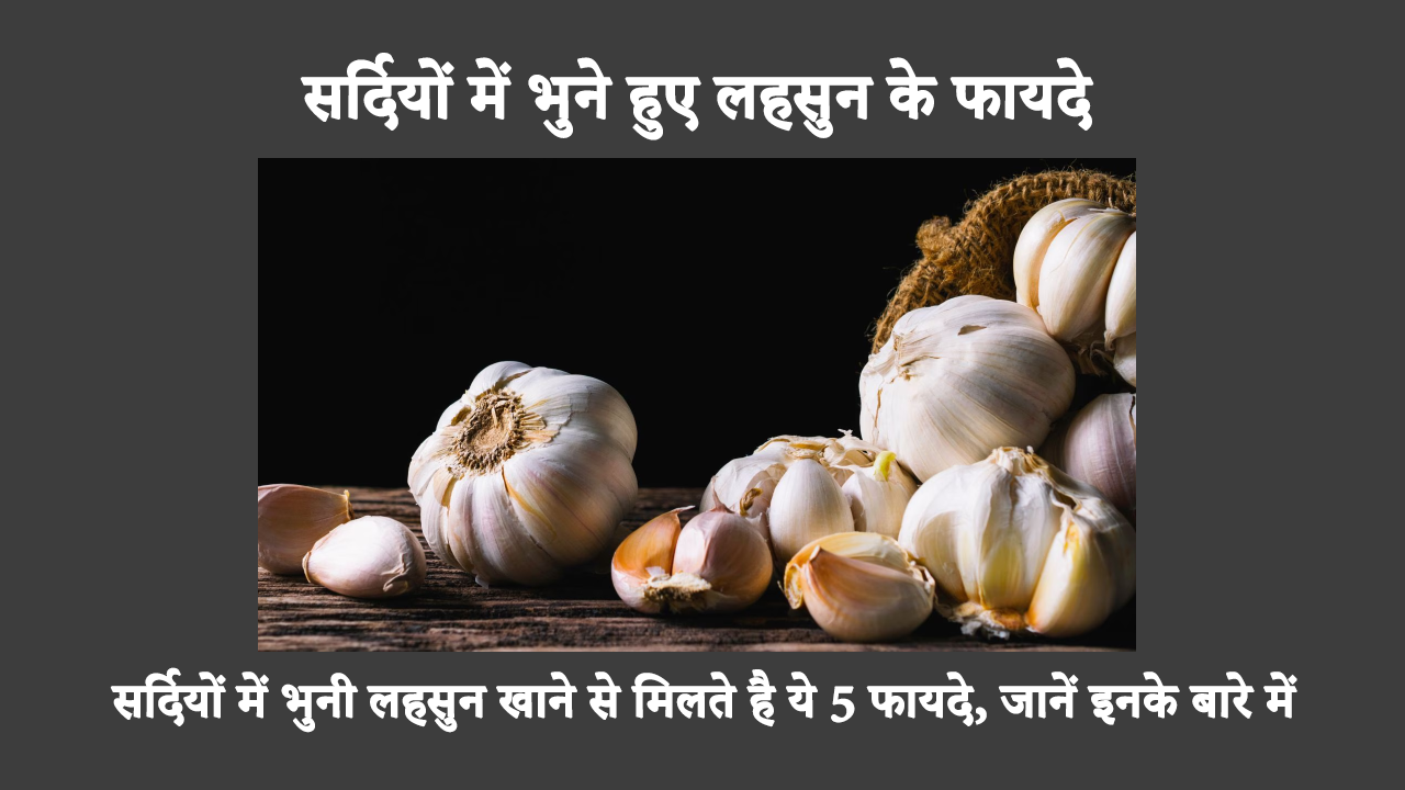 Roasted Garlic Benefits In Winter In Hindi: लहसुन को भूनने से उसका स्वाद और स्वास्थ्य लाभ दोनों बढ़ जाते हैं। इस सर्दी में भुने हुए लहसुन के इन स्वास्थ्य लाभों का लाभ उठाएँ।