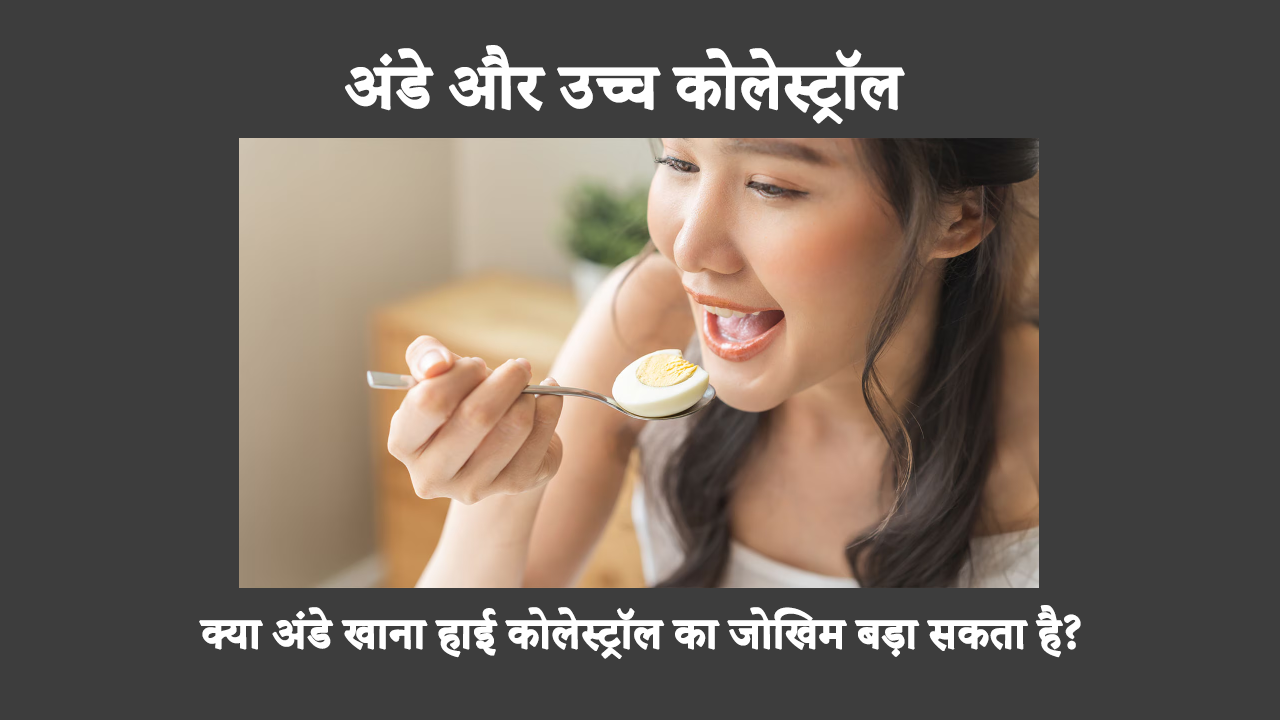 Are Eggs Good For Heart Health In Hindi: अंडे वजन घटाने और मांसपेशियों की वृद्धि दोनों के लिए ज़रूरी हैं। हालाँकि, क्या वे कोलेस्ट्रॉल के स्तर को बढ़ाने में कोई भूमिका निभाते हैं? कोलेस्ट्रॉल और अंडे के बीच के संबंध को पहचानें।