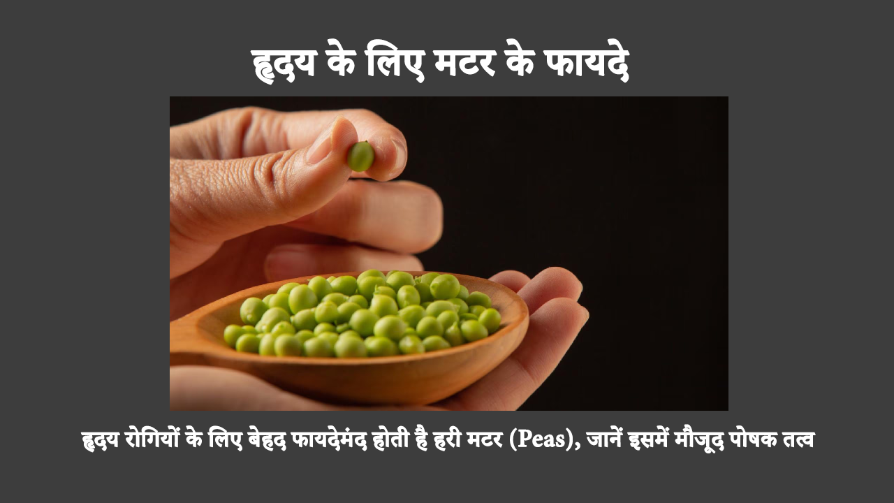 Benefits Of Peas For Heart Health In Hindi: рд╣реГрджрдп рдХреЛ рд╕реНрд╡рд╕реНрде рд░рдЦрдиреЗ рд╡рд╛рд▓рд╛ рдЖрд╣рд╛рд░ рдЖрдкрдХреЗ рд╣реГрджрдп рдХреЗ рд▓рд┐рдП рд▓рд╛рднрджрд╛рдпрдХ рд╣реИ, рдФрд░ рдЕрдкрдиреЗ рдЖрд╣рд╛рд░ рдореЗрдВ рдордЯрд░ рдХреЛ рд╢рд╛рдорд┐рд▓ рдХрд░рдиреЗ рд╕реЗ рдЖрдкрдХреЛ рдорджрдж рдорд┐рд▓ рд╕рдХрддреА рд╣реИ! рдордЯрд░ рдХреЗ рд╣реГрджрдп рдХреЛ рд╕реНрд╡рд╕реНрде рд░рдЦрдиреЗ рд╡рд╛рд▓реЗ рд▓рд╛рднреЛрдВ рдХреЗ рдмрд╛рд░реЗ рдореЗрдВ рдЬрд╛рдиреЗрдВред