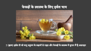 हमारे फेफड़ों की देखभाल करना पहले से कहीं अधिक महत्वपूर्ण है क्योंकि वायु प्रदूषण बढ़ रहा है। ये सात फेफड़ों-स्वस्थ चाय प्राकृतिक तरीके से श्वसन स्वास्थ्य को बढ़ावा दे सकती हैं।