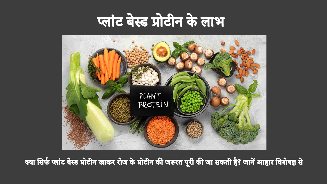 Health Benefits Of Plant Based Protein In HIndi: प्लांट प्रोटीन के कई फायदे हैं। यह वजन प्रबंधन, मांसपेशियों के स्वास्थ्य और सामान्य स्वास्थ्य सुधार को बढ़ावा देता है।
